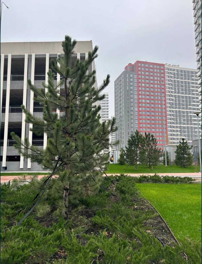 Продажа 3-комнатной квартиры 93 м², Всеволода Змиенко ул., Змієнка, 21