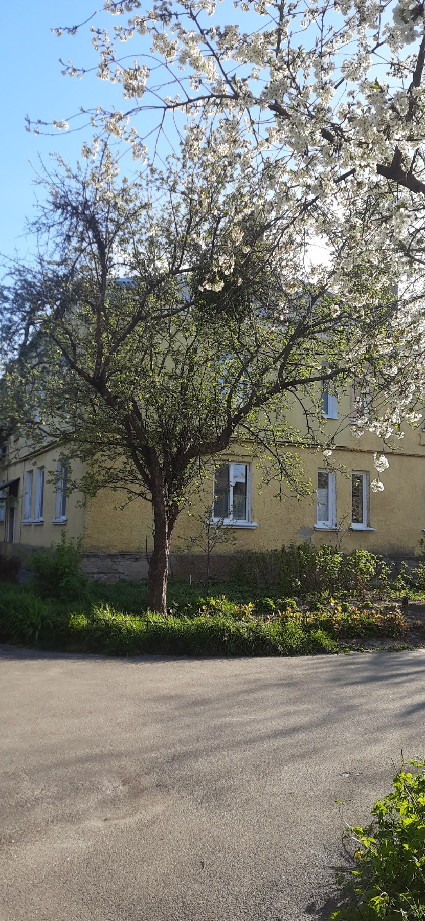 Продажа 2-комнатной квартиры 45.8 м², Новополевая ул., 67