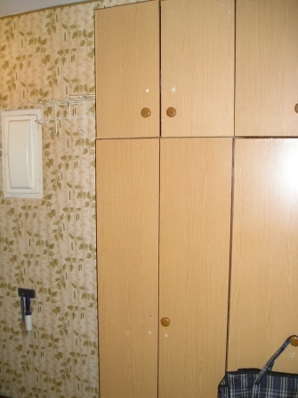 Оренда 1-кімнатної квартири 30 м², Поліська вул., 18