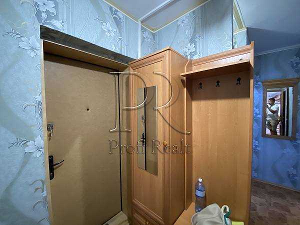Продажа 1-комнатной квартиры 19 м², Теодора Драйзера ул., 5