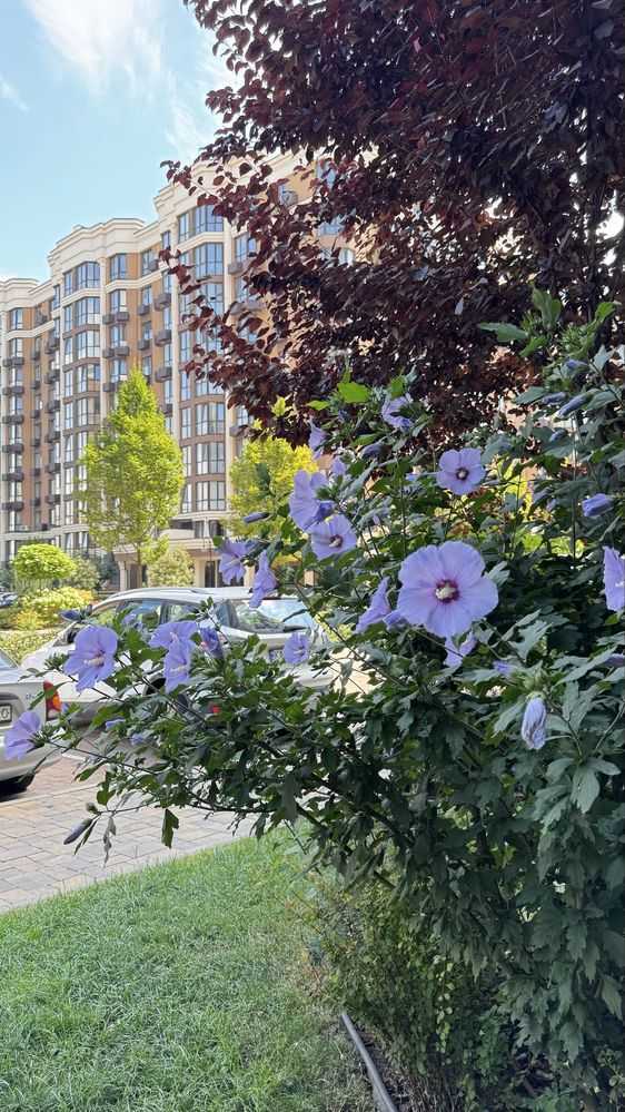Продаж 1-кімнатної квартири 39 м², ЖК Софія Резіденс, Будинок 27 (Молодіжна, 10)