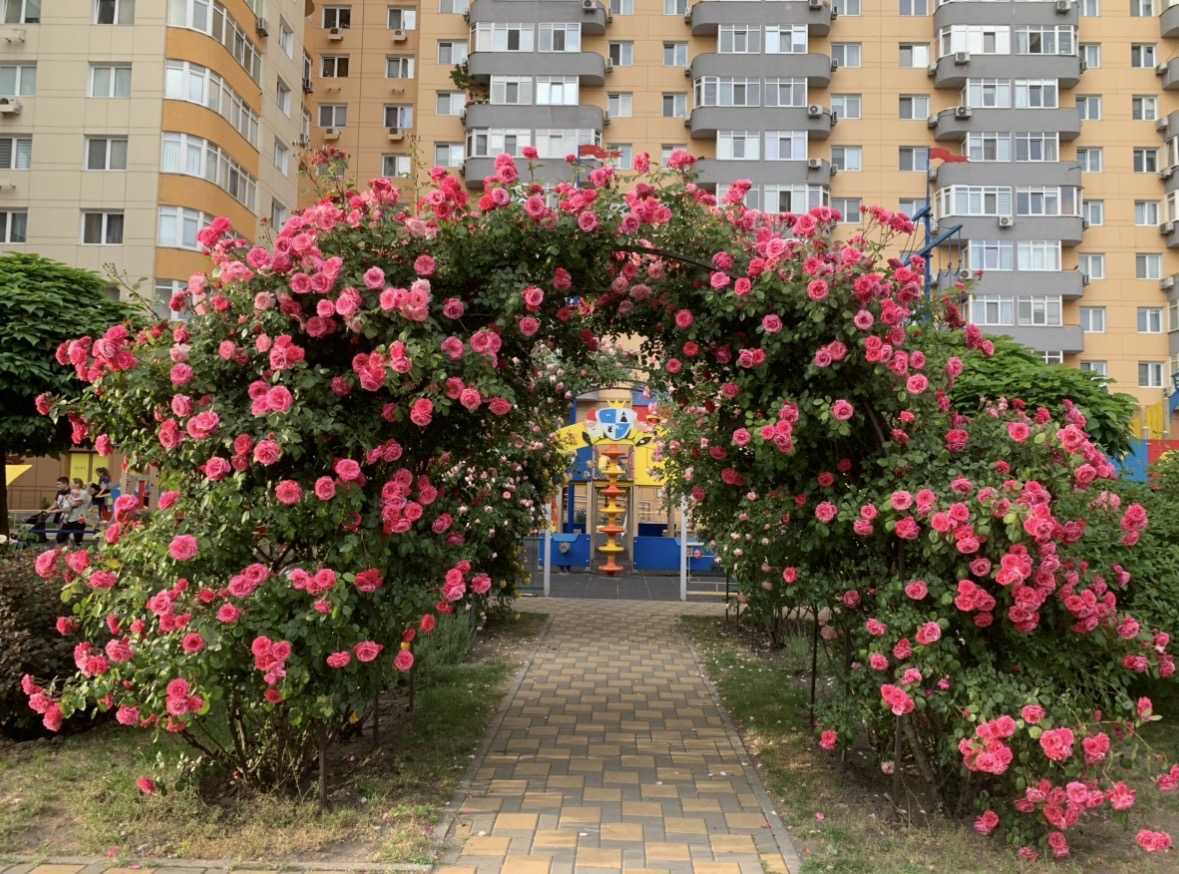 Аренда 1-комнатной квартиры 43 м², Юрия Кондратюка ул., 5