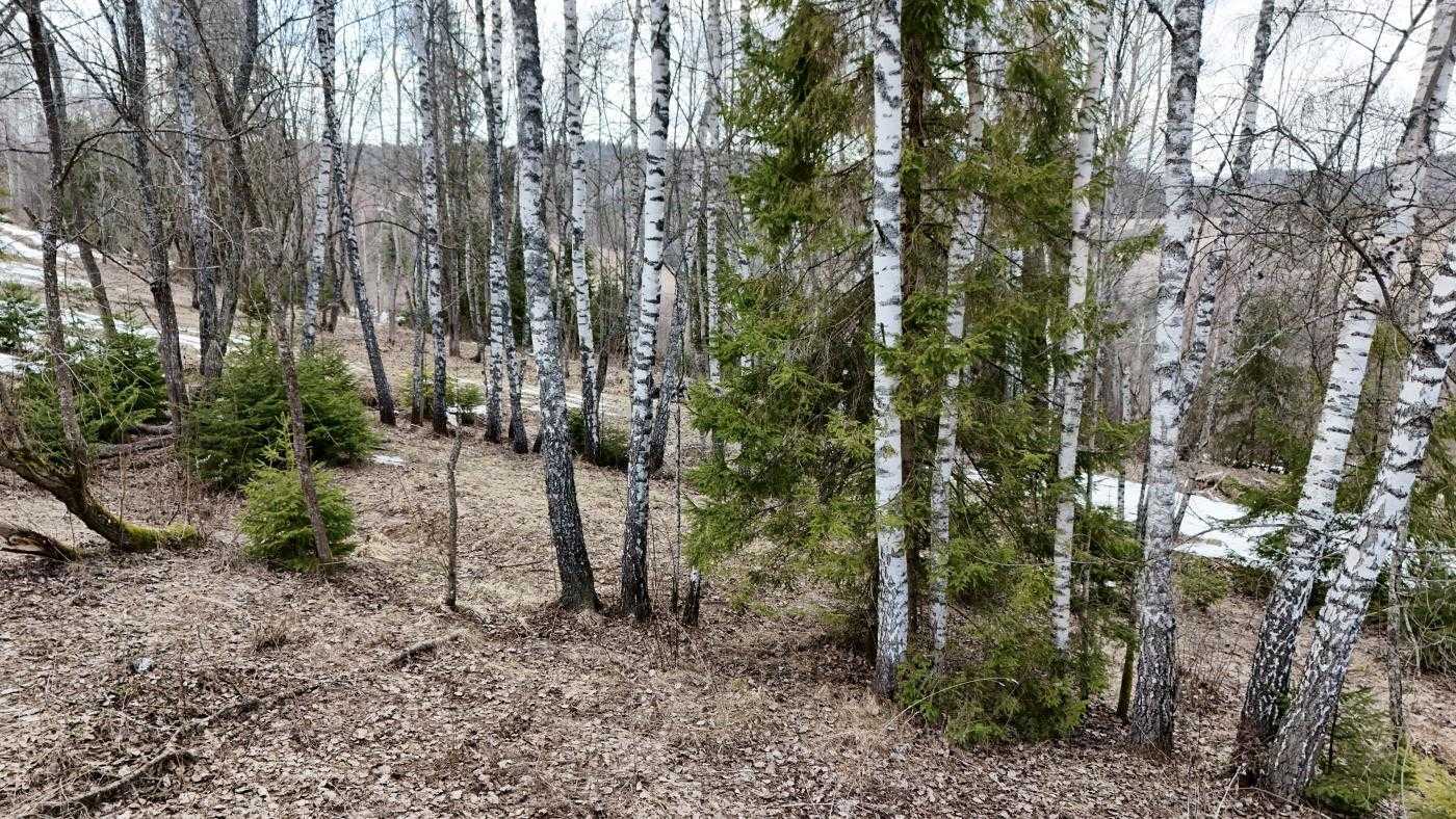 Продажа участка под индивидуальное жилое строительство 25 соток, Хітар, Шевченка 3