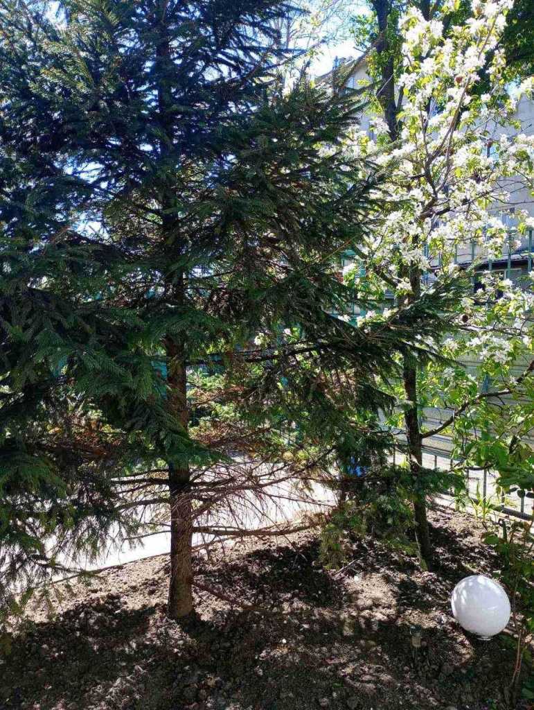 Продажа 2-комнатной квартиры 73 м², Ефима Фесенко