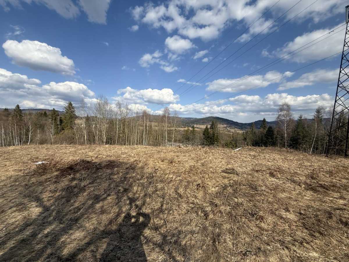 Продажа участка для личного сельского хозяйства 95 соток, Шевченка