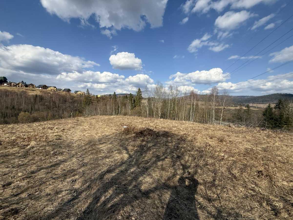 Продажа участка для личного сельского хозяйства 95 соток, Шевченка