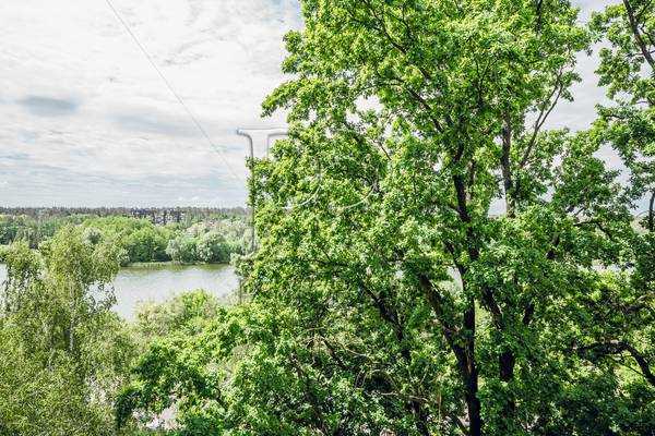 Продажа 3-комнатной квартиры 77 м², Николая Ушакова ул., 12