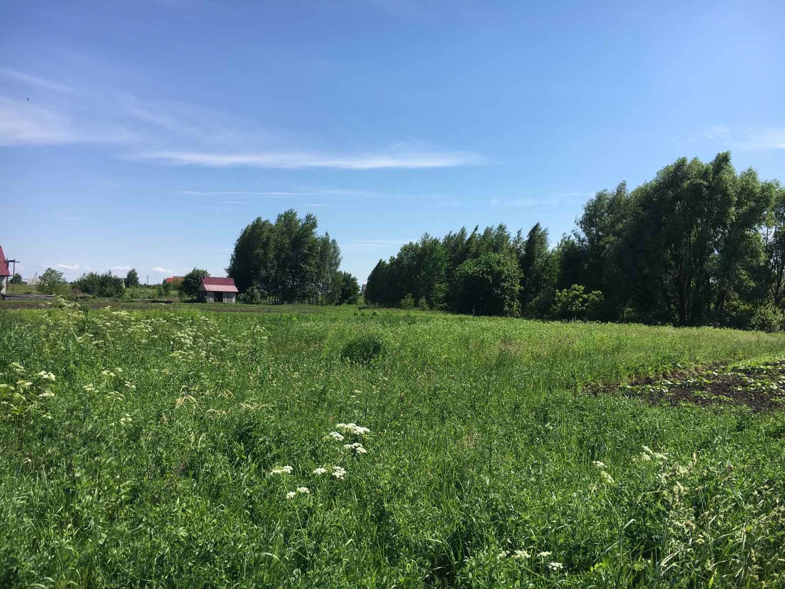 Продаж ділянки під індивідуальне житлове будівництво 15 соток, вул.Кошового 113