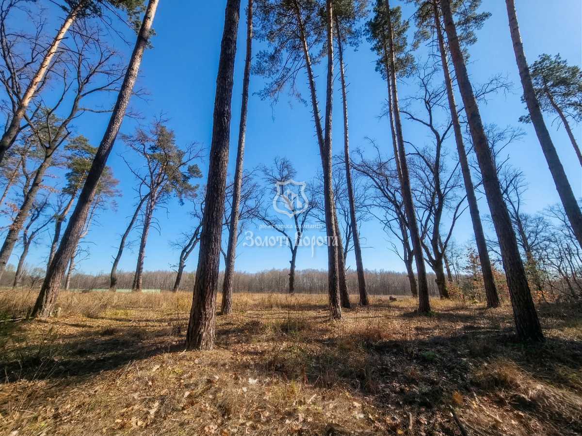 Продаж ділянки під індивідуальне житлове будівництво 112.5 соток, Соловьяненко Анатолия