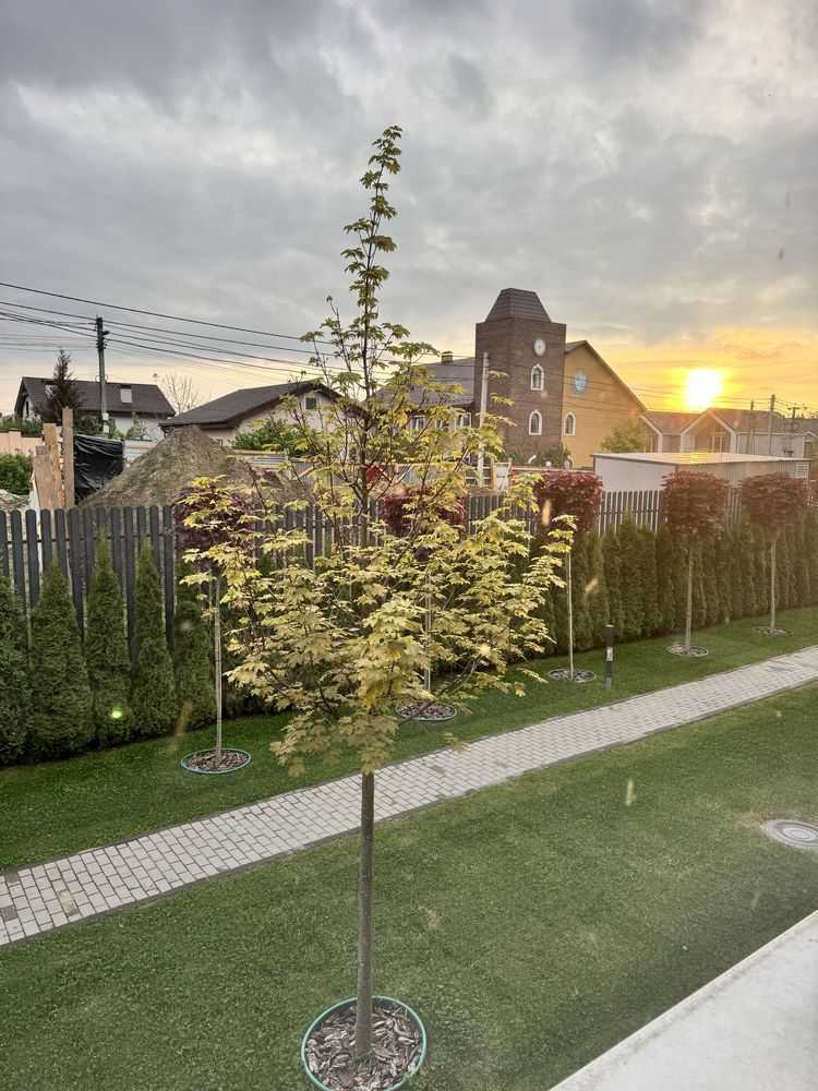Продаж 1-кімнатної квартири 51 м², Богдана Хмельницького вул.