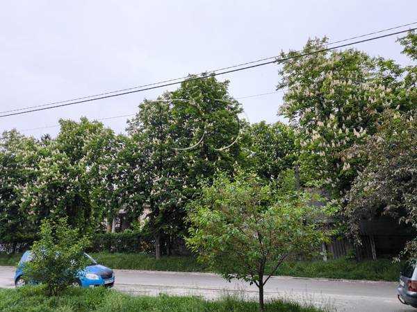 Продаж 2-кімнатної квартири 46 м², Екскаваторна вул., 18