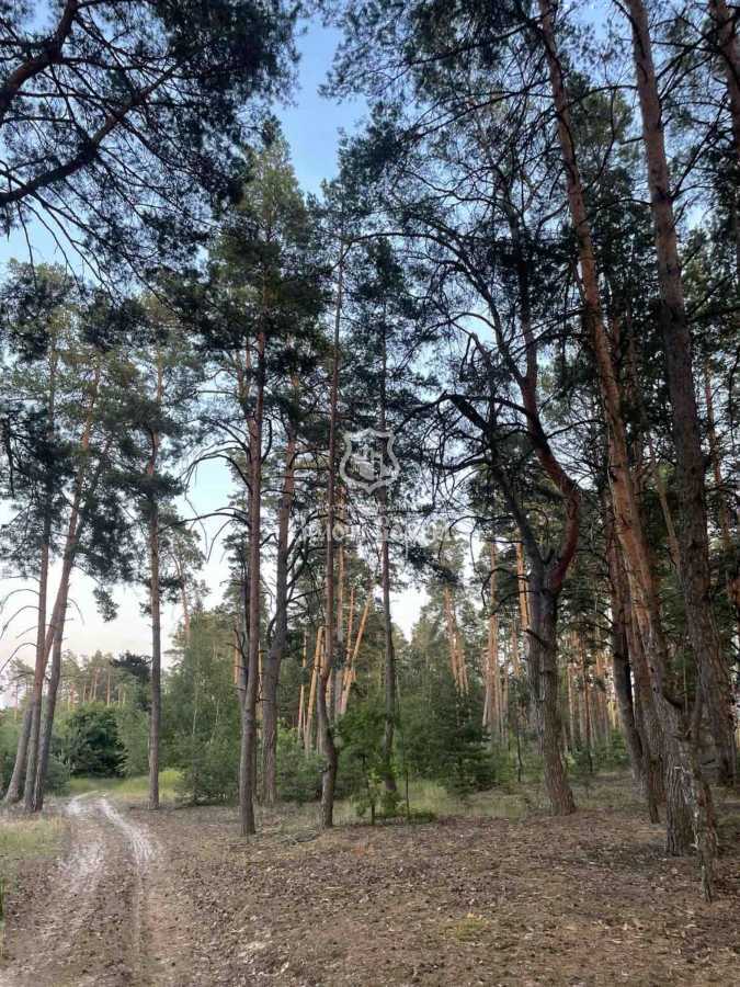 Продажа дома 60 м², 19