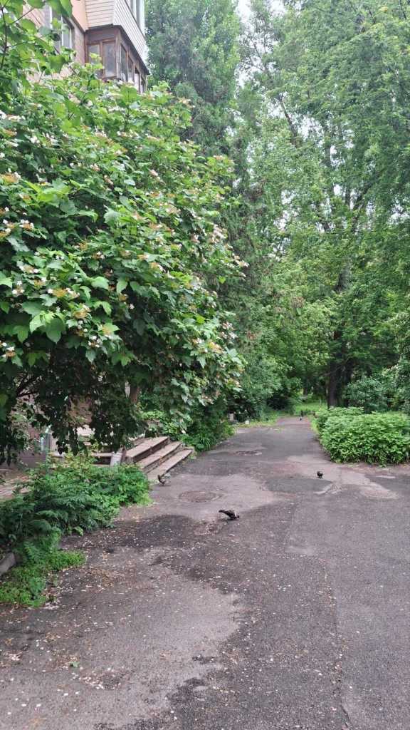 Продажа 1-комнатной квартиры 30 м², Генерала Геннадия Воробьева ул., 4/1