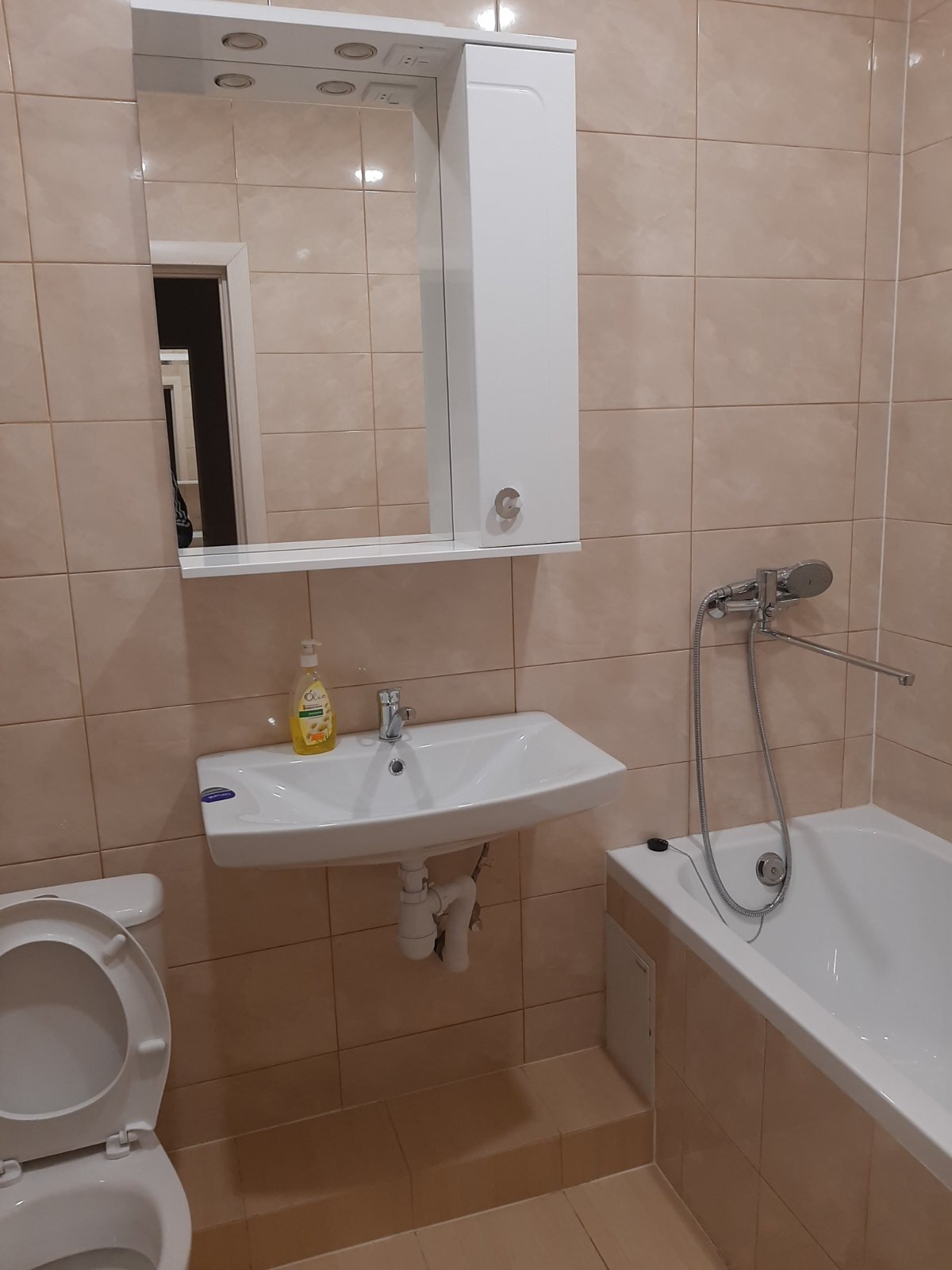 Аренда 1-комнатной квартиры 30 м², Олевская ул., 17/32