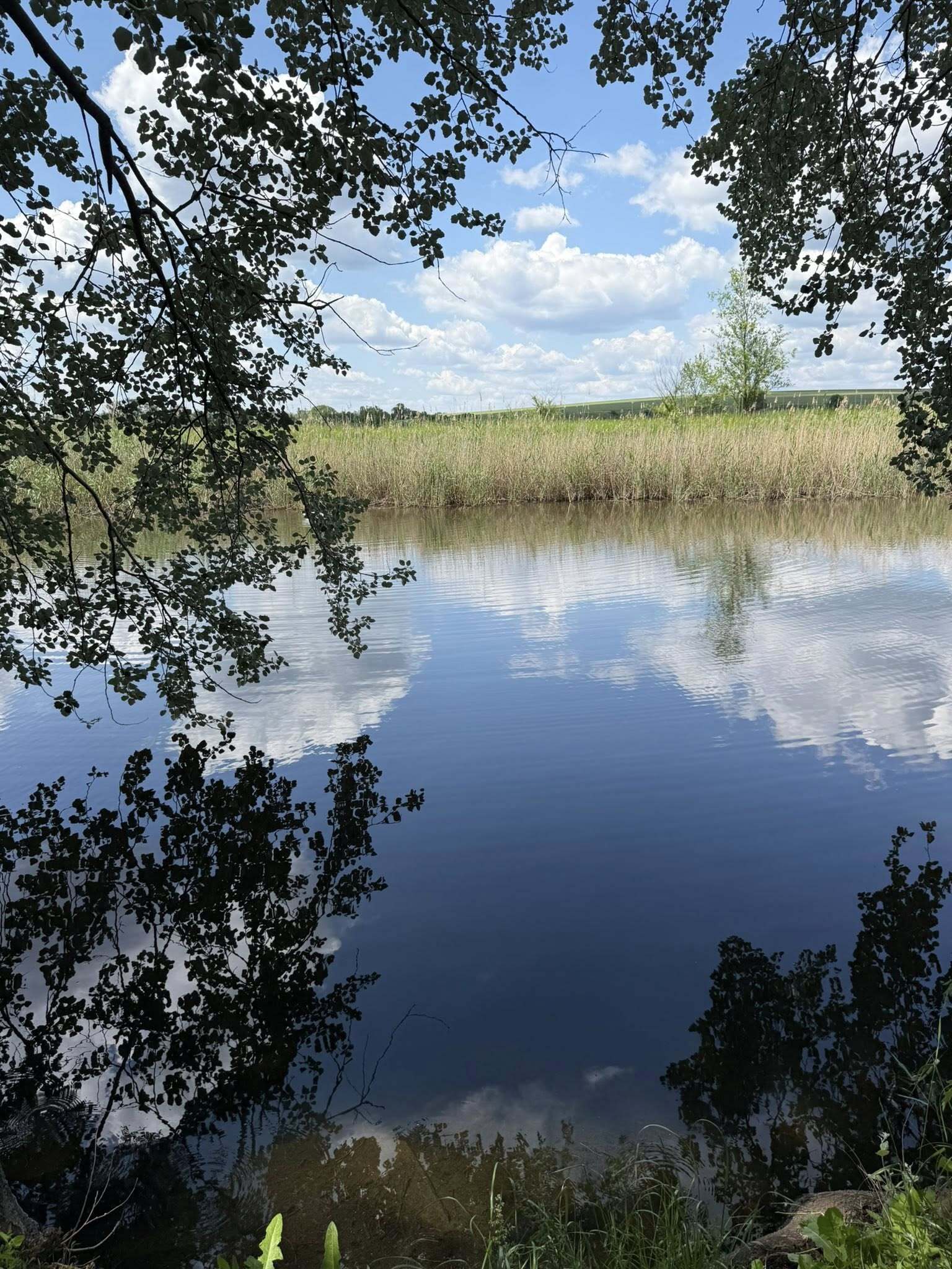 Продажа дома 63 м²