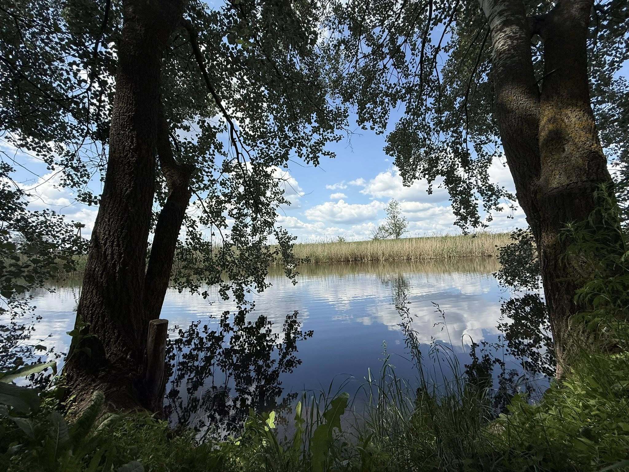 Продажа дома 63 м²