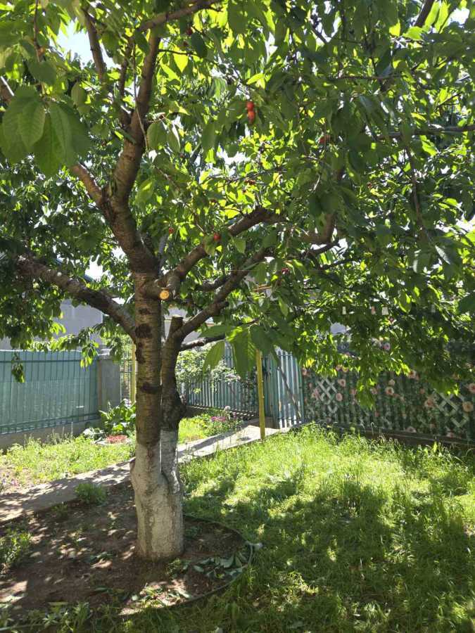 Аренда дома 65 м², Котляревского ул.