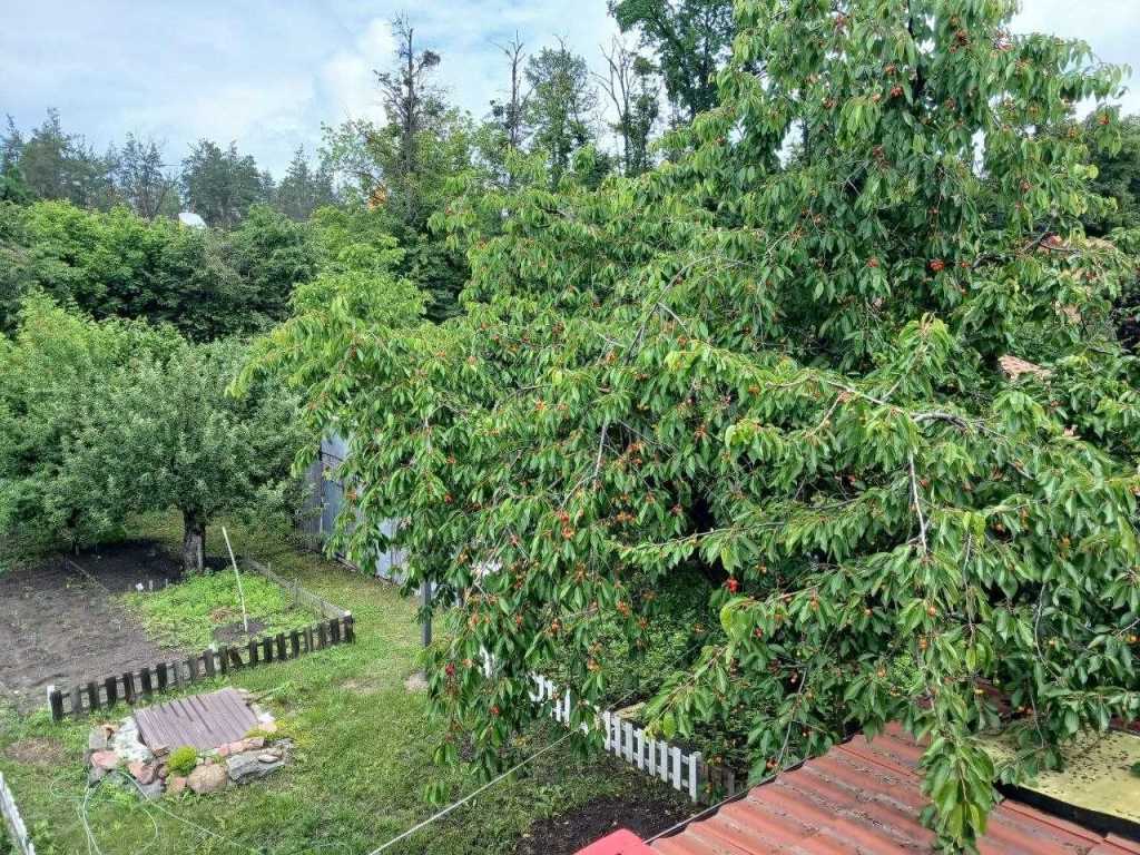 Продажа дома 135.6 м², Звязківців, 2