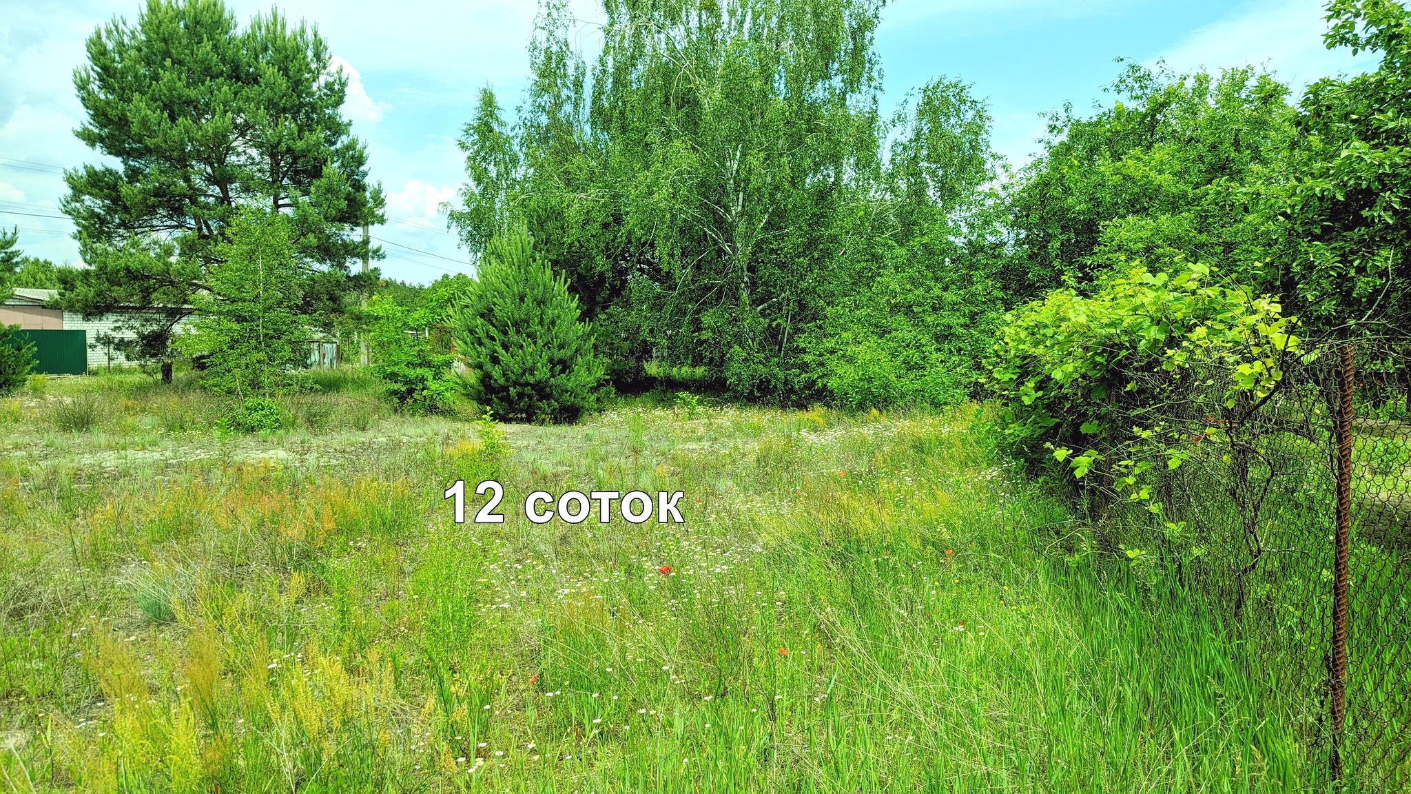 Продажа дачного участка 12 соток