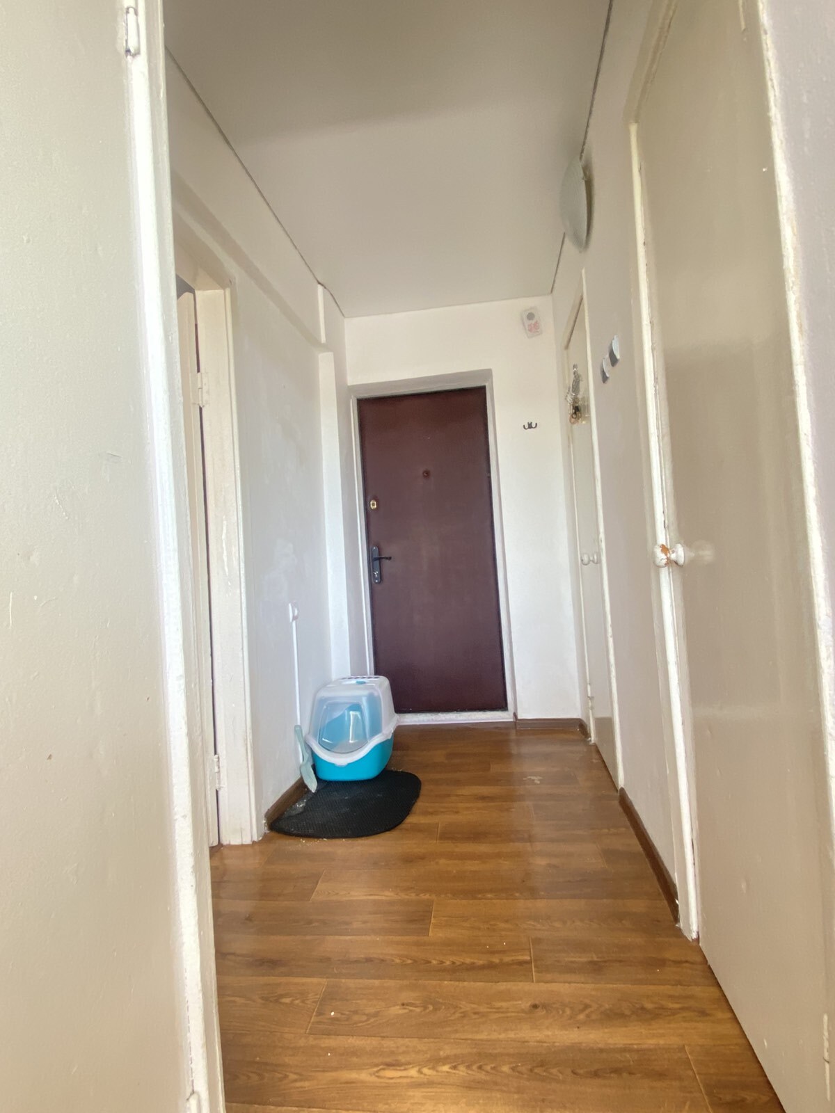 Оренда 1-кімнатної квартири 38 м², Велика Васильківська вул., 94
