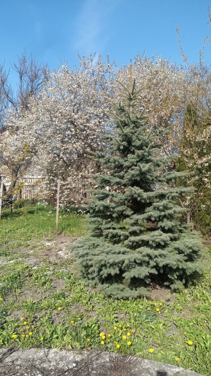 Продажа дачи 65 м²