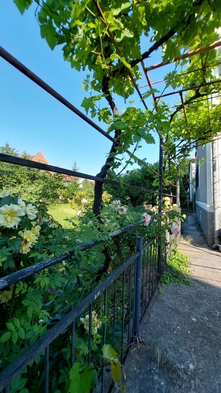 Продаж будинку 350 м², Абрикосова вул., 91