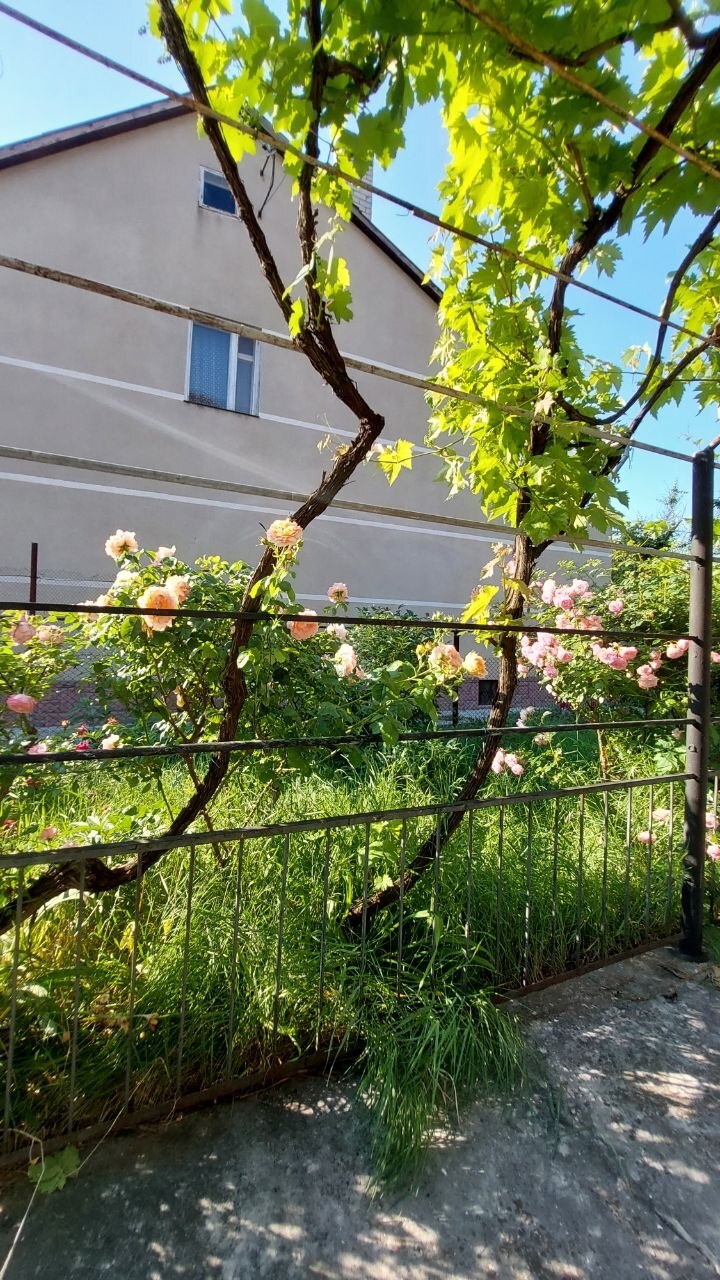 Продаж будинку 350 м², Абрикосова вул., 91