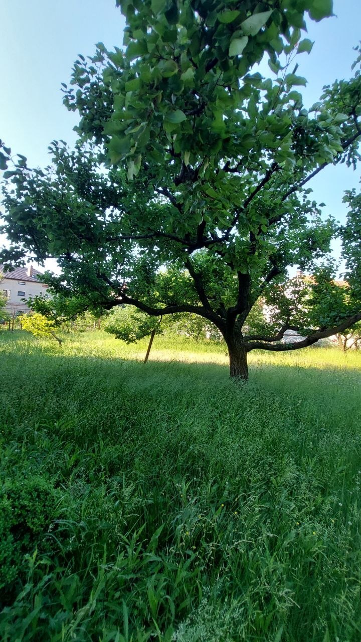 Продаж будинку 350 м², Абрикосова вул., 91
