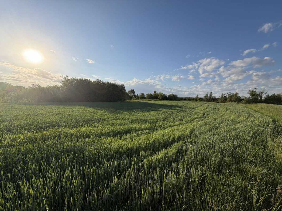 Продажа участка под индивидуальное жилое строительство 12 соток, Зарічна