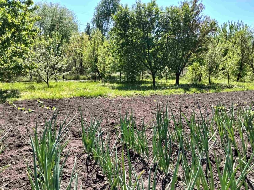 Продажа дома 164 м²