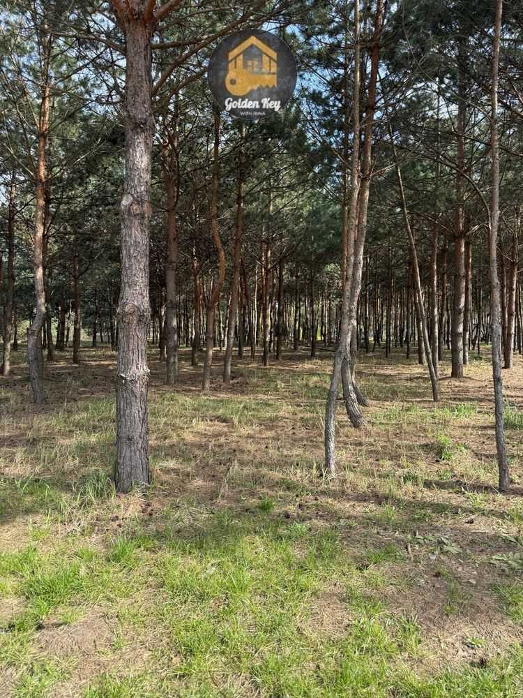 Продажа 1-комнатной квартиры 30.6 м², Західна, 6