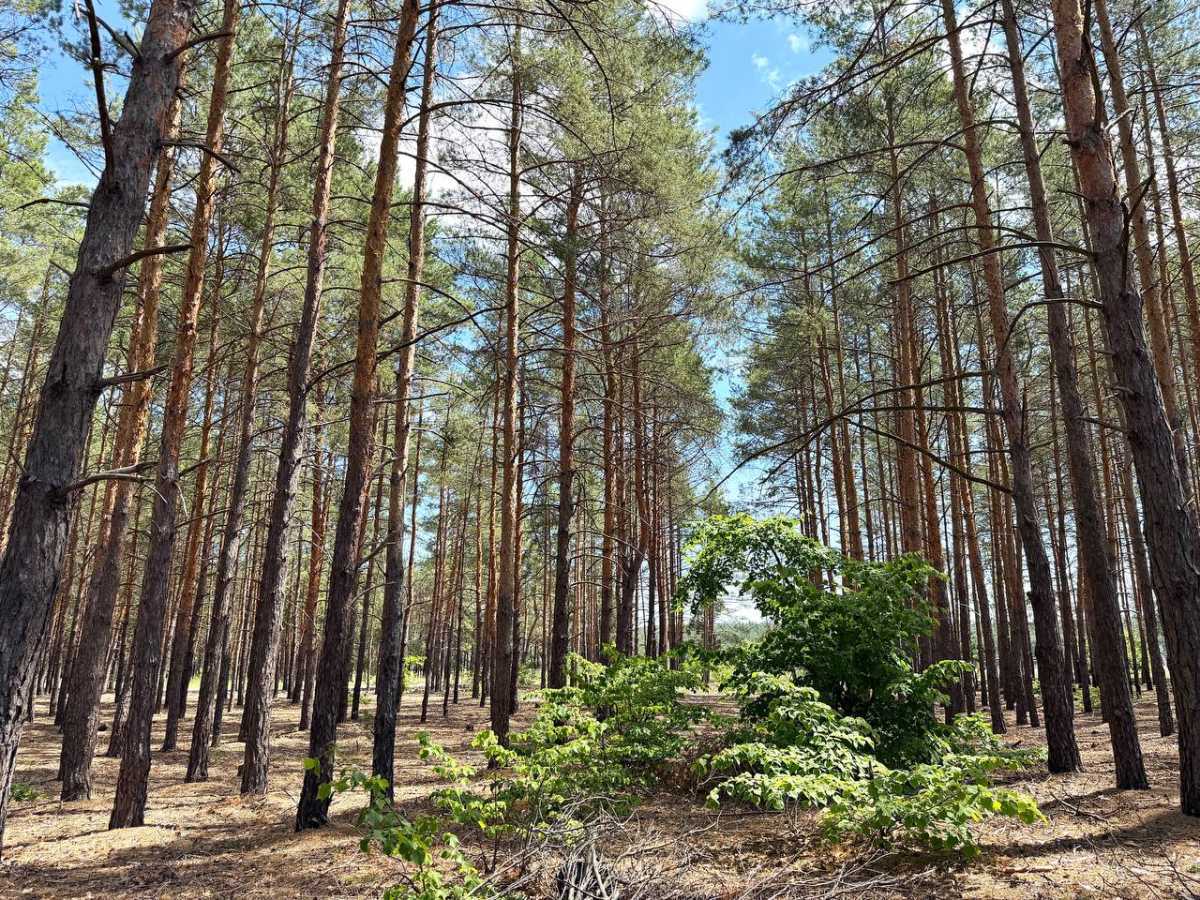 Продаж будинку 150 м², Лебедина, 63А