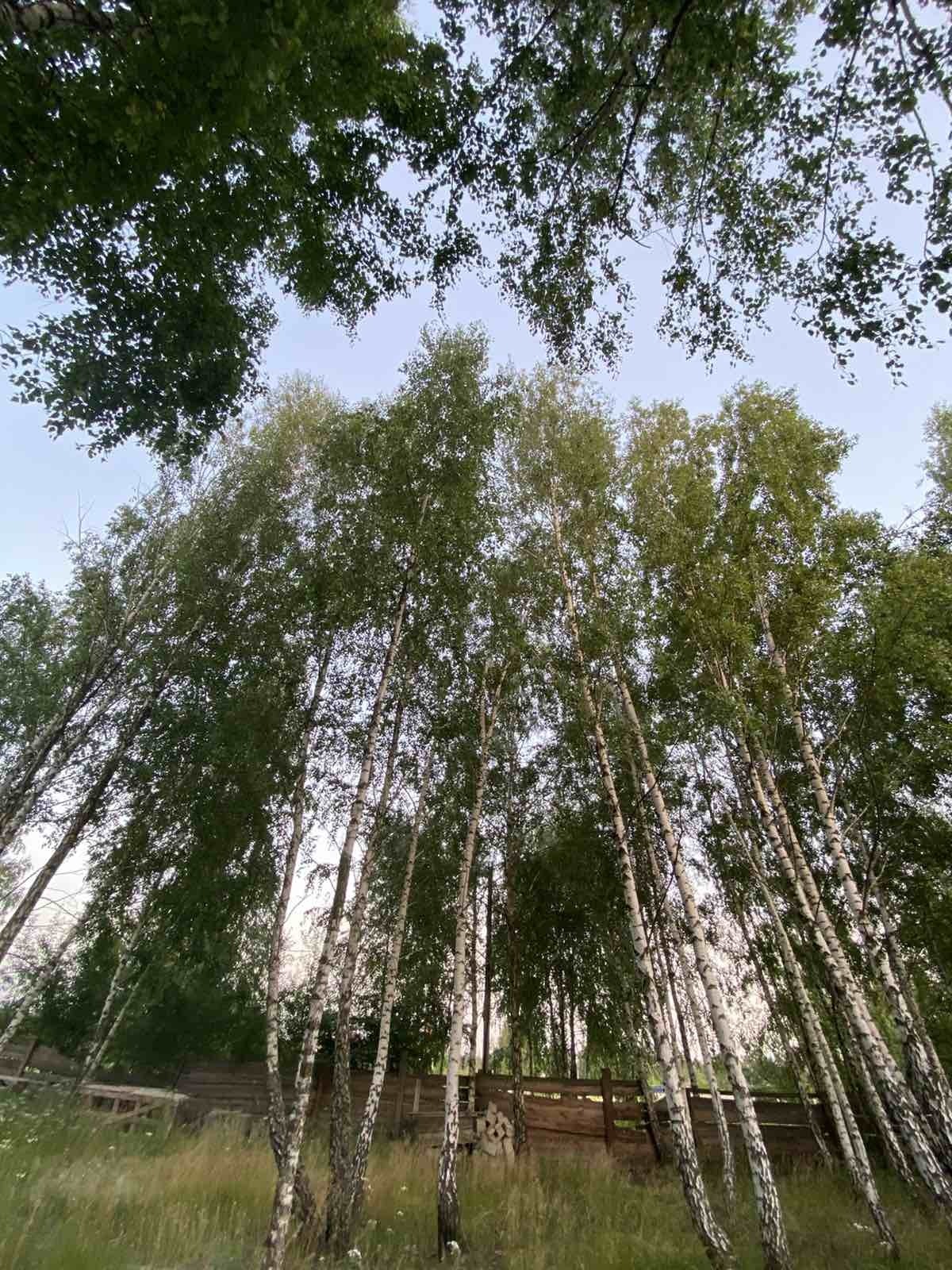 Продаж будинку 299.3 м², Соборна