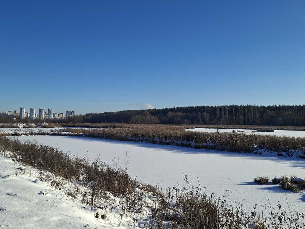 Продаж ділянки під індивідуальне житлове будівництво 16 соток, Обухівська вул.