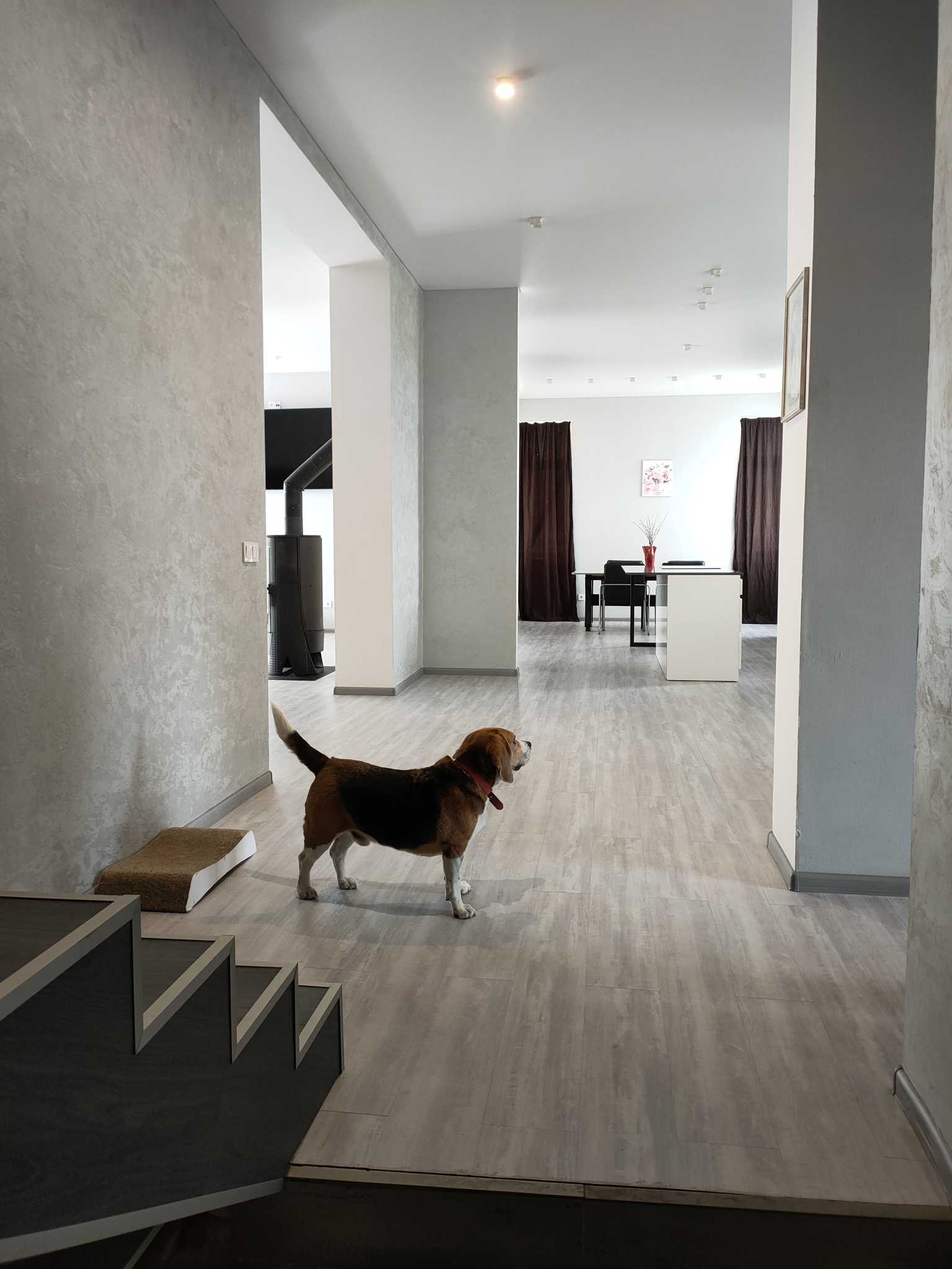 Продажа дома 370 м²