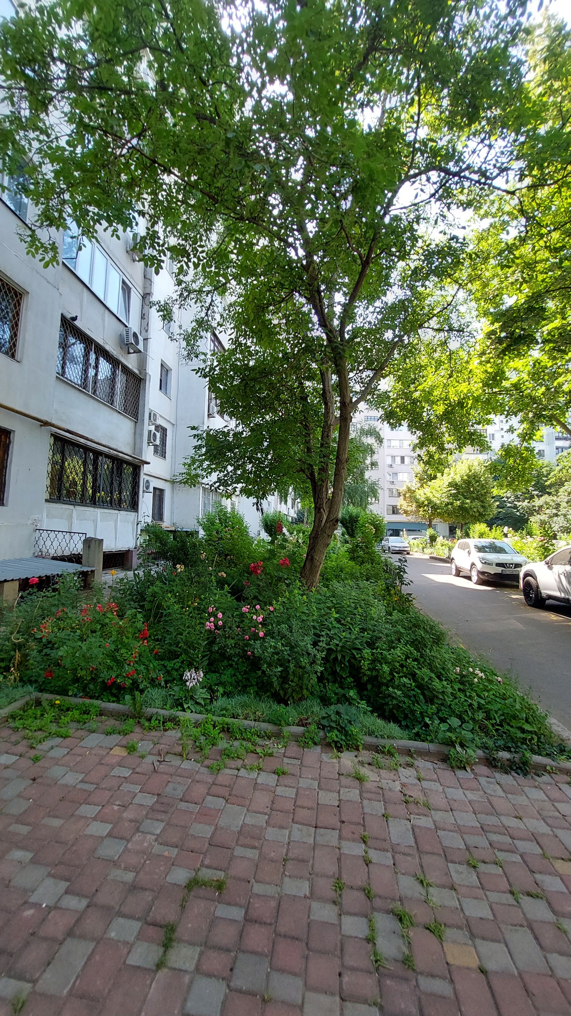 Оренда 2-кімнатної квартири 70 м², Ботанический пров., 6