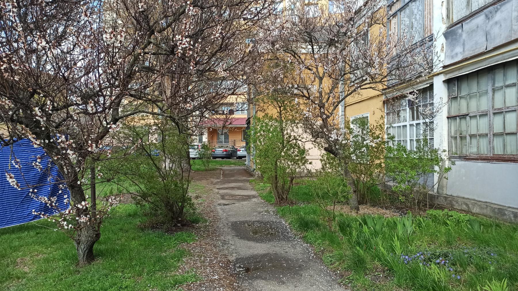 Оренда 2-кімнатної квартири 60 м², Волховський пров., вул.6
