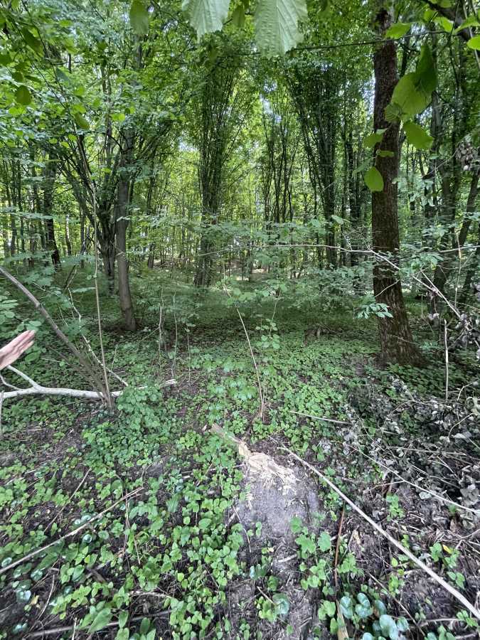 Продажа участка под индивидуальное жилое строительство 100 соток, Гагарина ул.