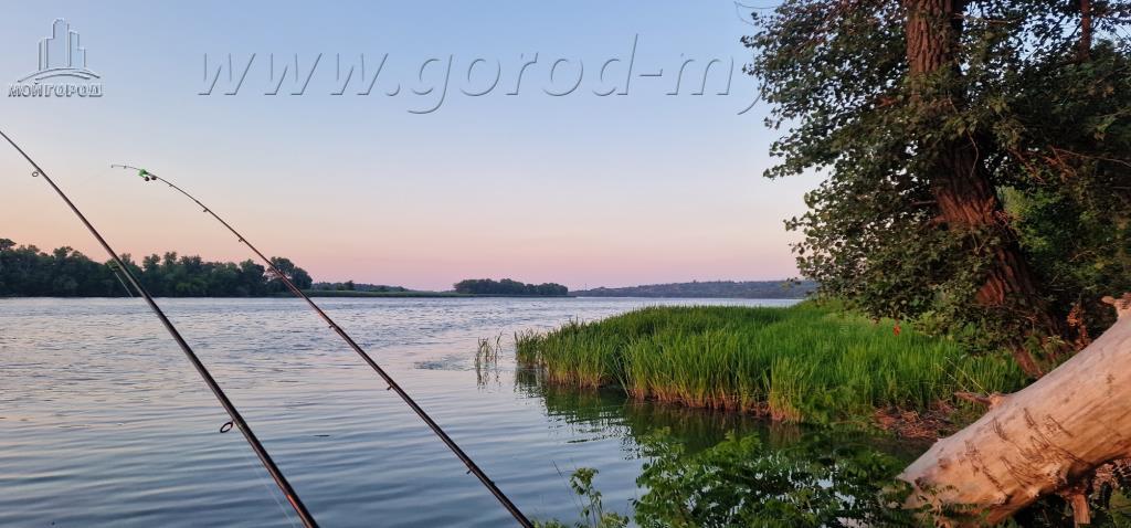 Продажа участка под индивидуальное жилое строительство 10 соток, Старый путь ул., 160