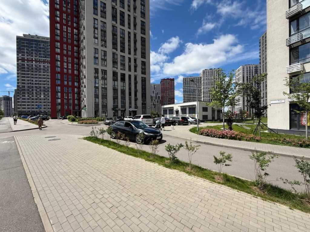 Оренда 1-кімнатної квартири 47 м², Олександра Олеся вул., 8/15