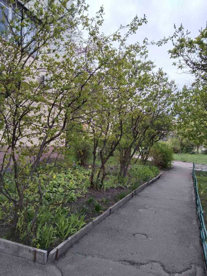 Оренда 1-кімнатної квартири 40 м², Романа Шухевича просп., 22