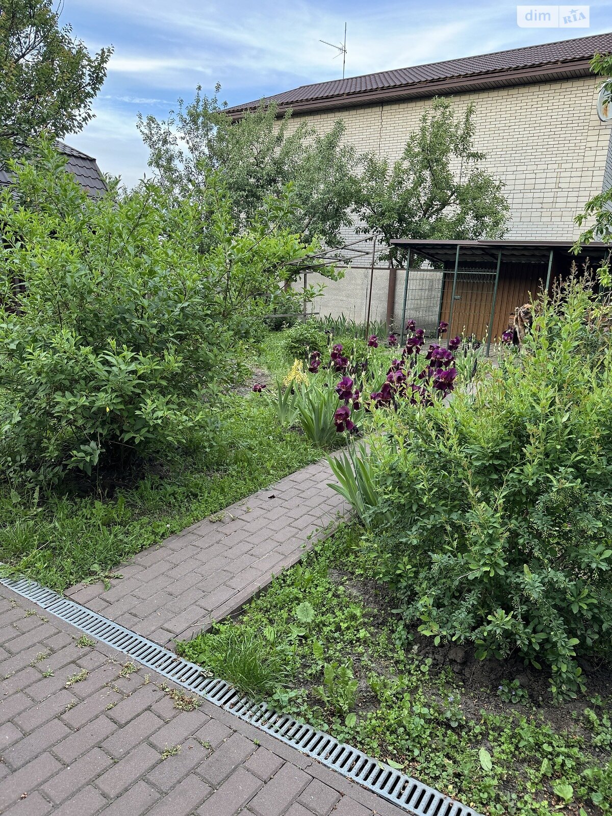 Продажа дома 116.5 м², Григорівка, вул. Молодіжна