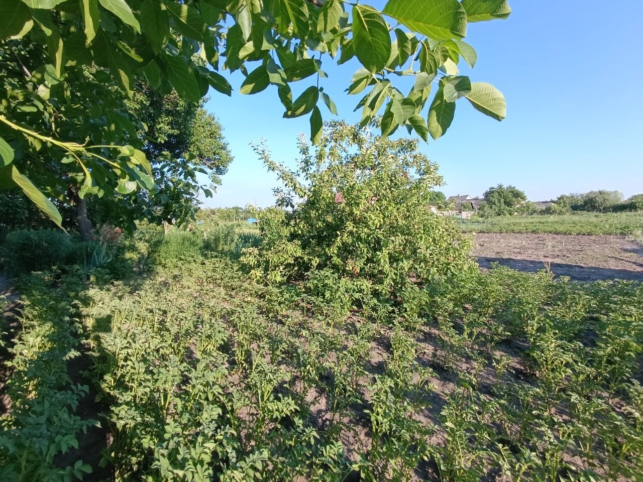 Продаж будинку 55 м²