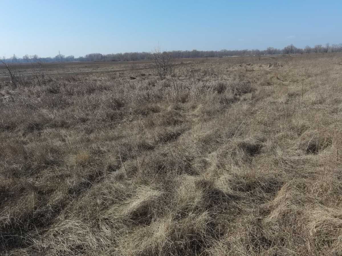 Продажа участка для личного сельского хозяйства 12 соток, Садова