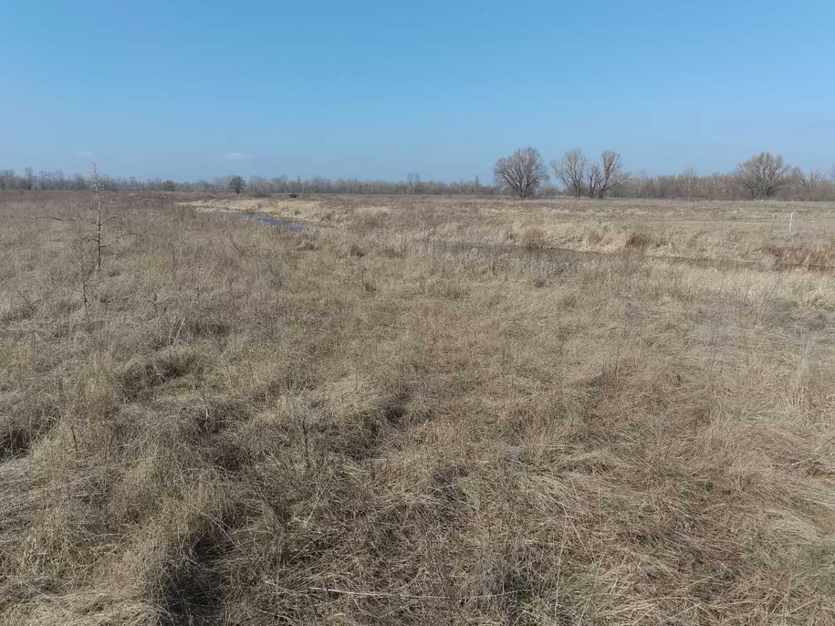 Продажа участка для личного сельского хозяйства 12 соток, Садова