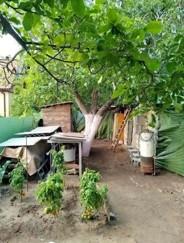 Продажа дома 65 м², Веселая ул.