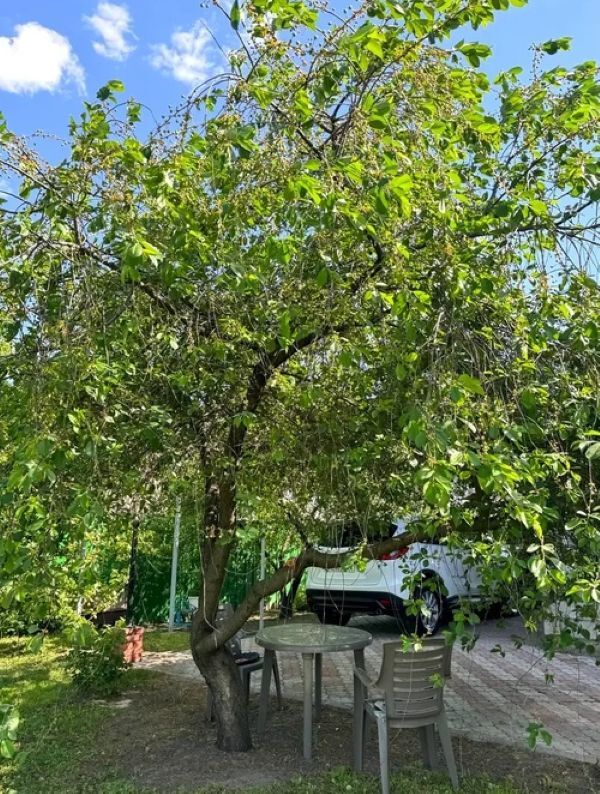 Продажа дома 223 м², Райниса пер.
