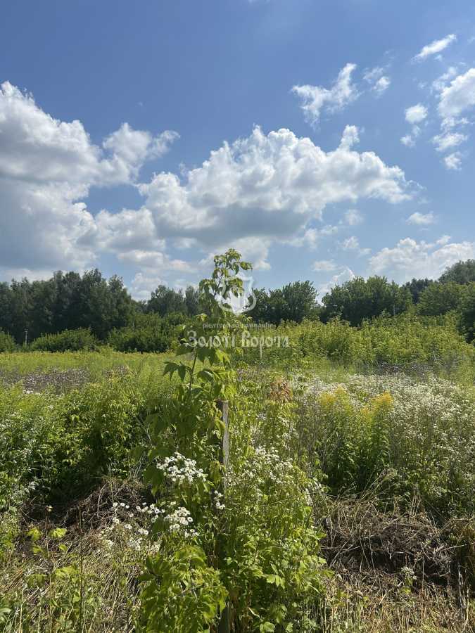 Продаж ділянки під індивідуальне житлове будівництво 49.18 соток, Молодіжна