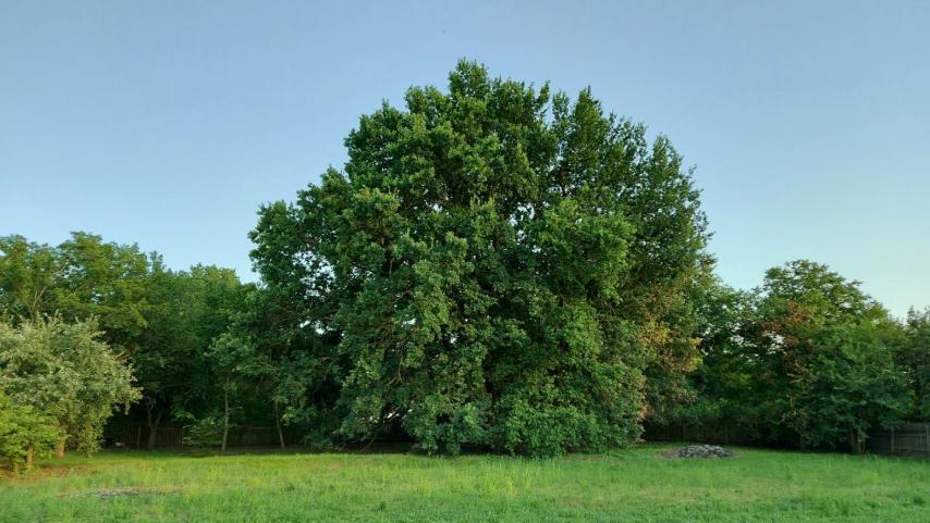 Продажа дома 223 м²