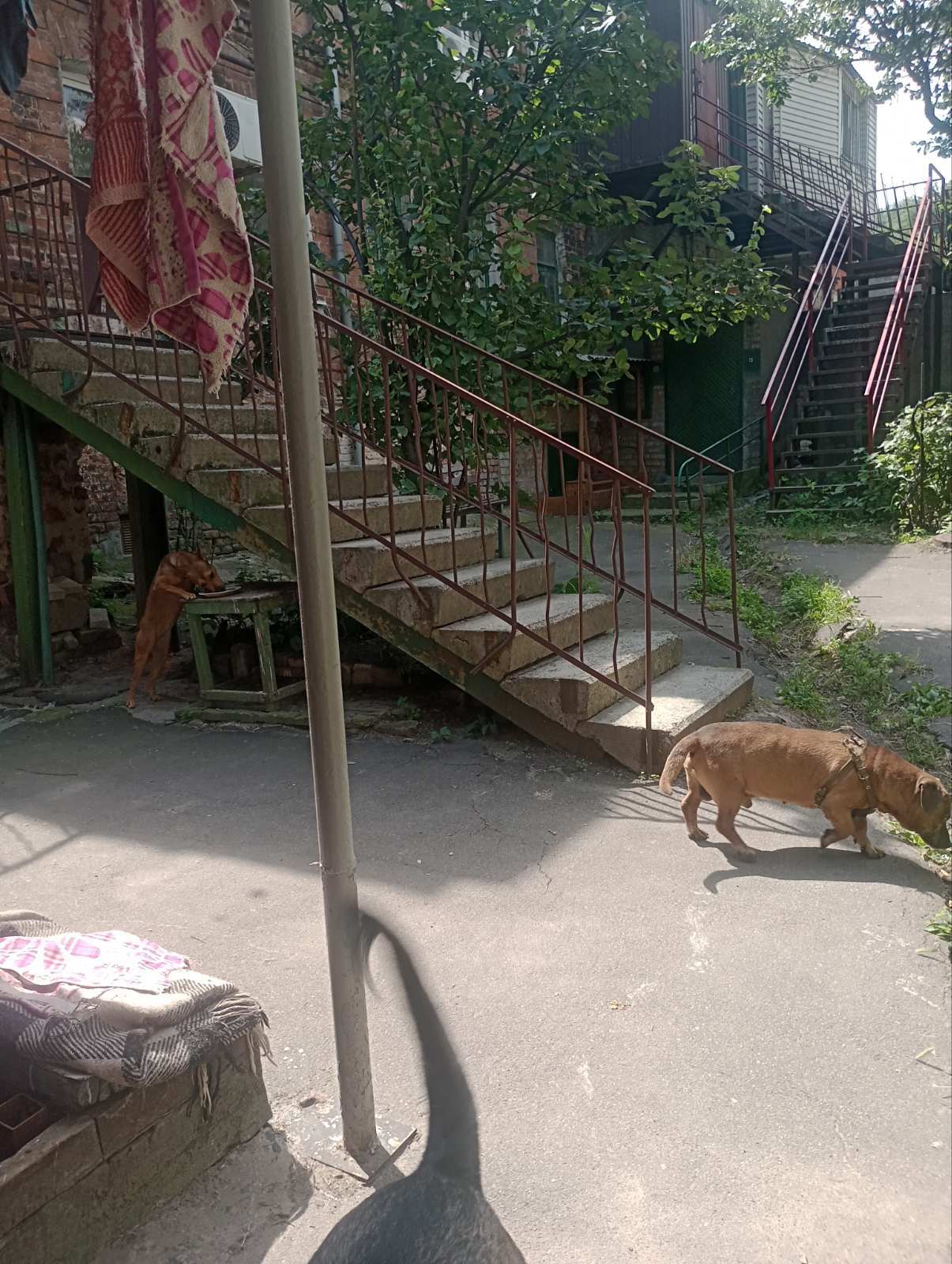 Продажа 2-комнатной квартиры 52 м², Романа Шухевича ул., 63